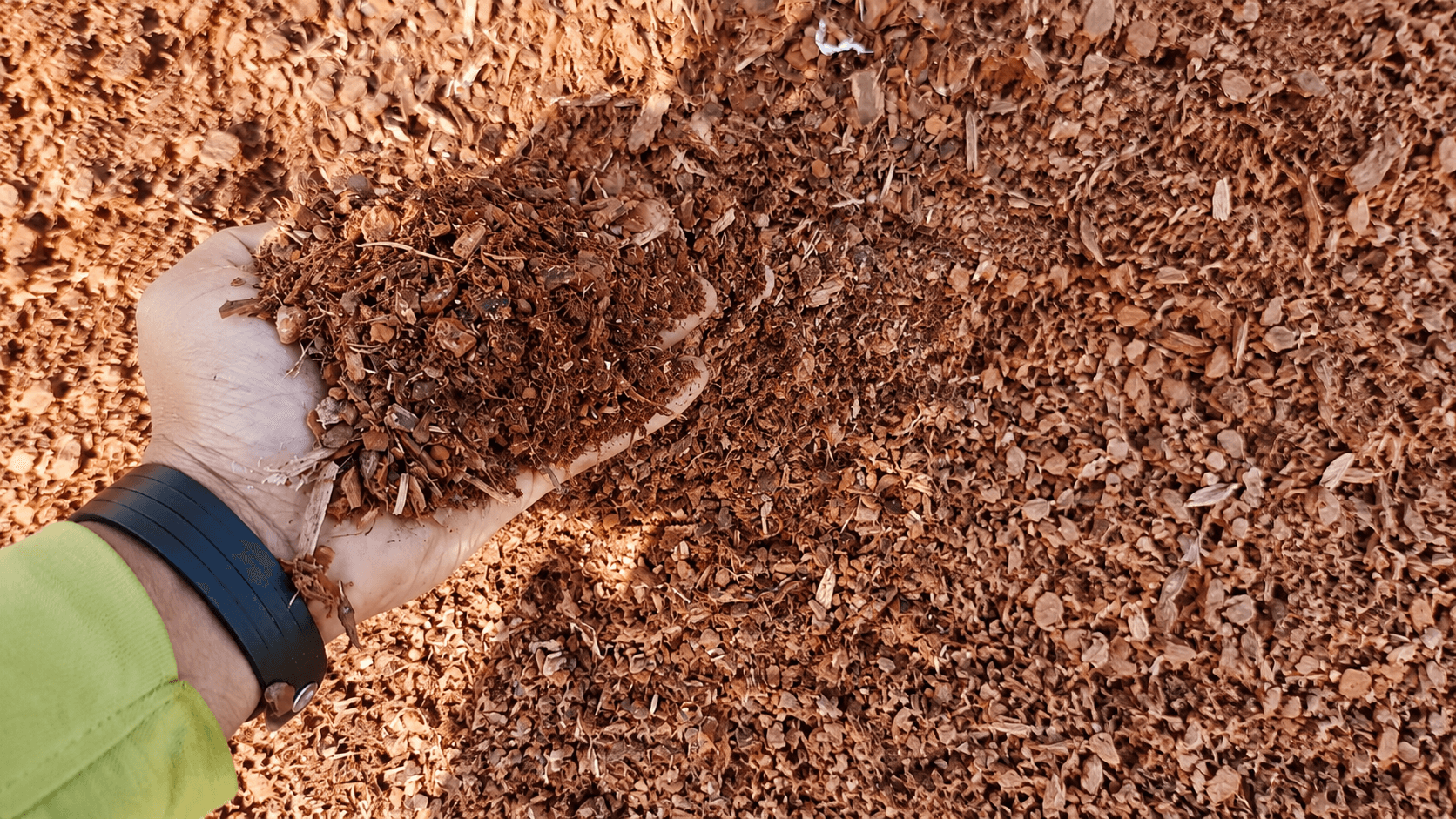Wood Saw Dust