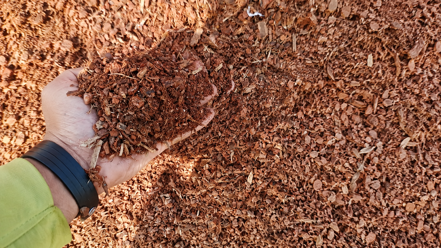Wood Saw Dust